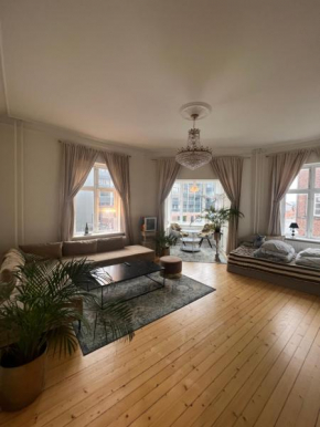 Stor flot herskabslejlighed, Aalborg